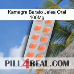 Cheap Kamagra Oral Jelly 100Mg 26